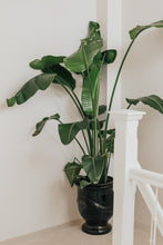 Afbeelding in Gallery-weergave laden, Traditionele Anduze pot - Blauw geëmailleerd