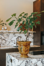 Afbeelding in Gallery-weergave laden, Traditionele Anduze pot - Gevlamd geëmailleerd